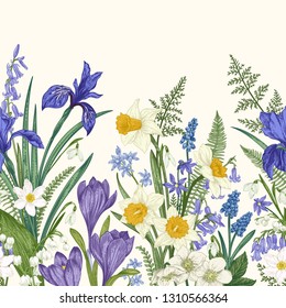 Seamless border with spring flowers. Iris, crocus, narcissus, snowdrop, lily of the valley. Botanical illustration. Colorful.