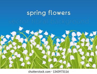 Seamless border with spring flowers lily of the valley, floral banner, background, vector illustration. White buds forest flowers bluebell and green leaves against the blue sky and space for text