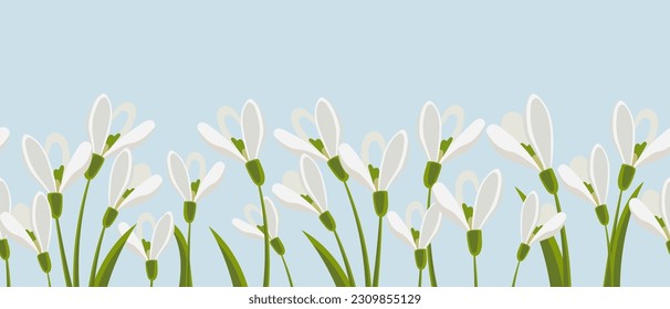 Seamless border, spring flowers snowdrops. Spring background with copy space. Illustration, vector	
