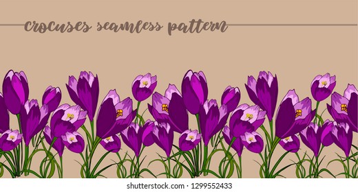 Seamless border with spring purple crocuses hand-painted. Flower composition. Isolated on a beige background. Vector illustration eps10