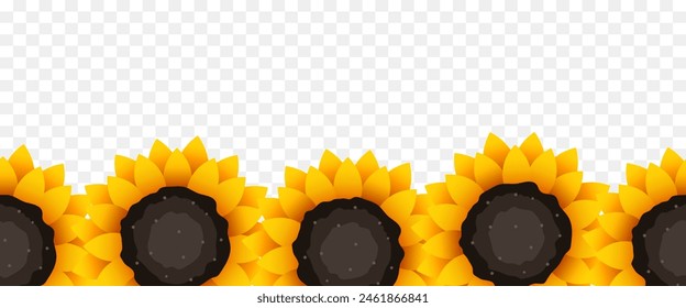 Seamless border of sunflowers. Frame of sunflowers. Vector illustration.