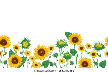 Seamless border with sunflowers set.  Isolated elements. Collection decorative floral design elements. Vintage vector illustration in watercolor style.