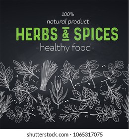 Seamless border template with hand drawn sketch herbs and spices for farmers market menu design. Vector illustration page decoration culinary herbs in chalkboard style