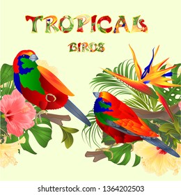 Seamless border  tropical birds Euplectes and tropical flowers  pink and yellow hibiscus and Strelitzia palm,philodendron and ficus vintage vector illustration  editable hand draw