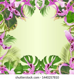 Seamless border tropical flowers  floral arrangement, with   Orchid Dendrobium nobile spotted  purple and white  palm,philodendron  vintage vector illustration  editable hand draw 