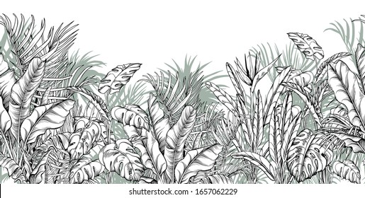 Seamless border with tropical palm, banana and monstera leaves. Black and white illustration. Hand drawn vector.