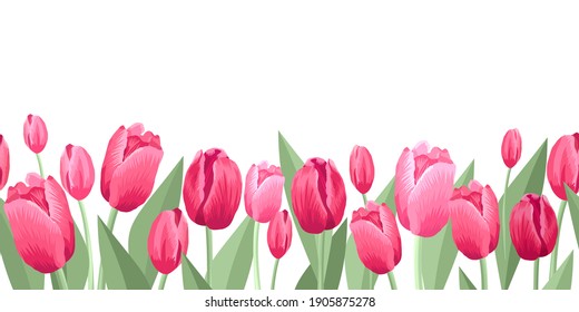 Seamless border of tulips flawers. Vector illustration, background, pattern, print for packaging paper, postcards, textiles. Colorful pink tulips with leaves, a frame, garland of flowers