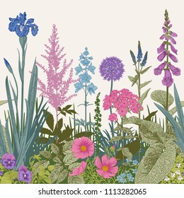 Seamless border. Vector vintage illustration. Pink, violet, blue, purple garden flowers