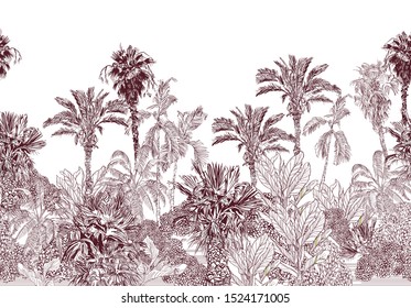 Seamless Border Vintage Lithograph Illustration Of Jungle Forest Tropical Palms Exotic Plants Oriental Theme