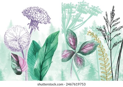 seamless border of wild flowers and plants on a white background, watercolor illustration.