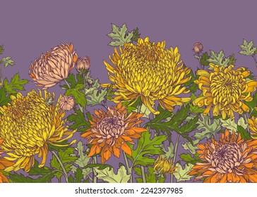 Nahtlose Grenze von gelben und orangefarbenen Chrysanthemen und Blättern auf violettem Hintergrund. Handgezeichnete Vektorgrafik.