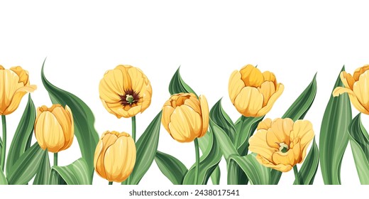 Seamless border of yellow tulips on an isolated background. Illustration with spring flowers for Easter, Mother's Day, etc. Suitable for decor, fabric, cards, backgrounds, wallpapers