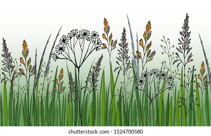 Seamless borders of realistic herbs and spikelets on green color. Botanical hand-painting.