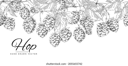 Seamless botanical border pattern with hop flowers and leaves. Vector black and white hand drawn illustration sketch in retro style. Botanical engraving.