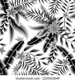 Nahtlose botanische Zusammensetzung Vitage tropische Blätter auf weißem Hintergrund. Trendy Vektormuster. Modische nahtlose tropische Muster. Druck und Textilien. monochromatisches Design. Exotischer Sommer