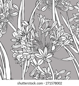 Seamless botanical floral pattern with umbrellas agapanthus. Vector black and white illustration.