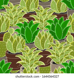 Seamless botanical illustration. Tropical pattern of different cacti, aloe