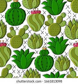 Seamless botanical illustration. Tropical pattern of different cacti, aloe