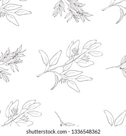 Seamless botanical line art pattern. Background with eucalyptus.