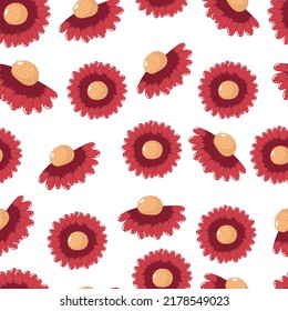 Seamless botanical ornament pattern with autumn red daisies in pastel colors isolated on white background in flat cartoon style.