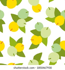 Seamless botanical pattern with apricots and leaves on white background. Vector illustration.