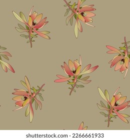 Seamless botanical pattern with beautiful blooming branches of Leucadendron or Conebush plant. On gray background.