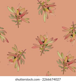Seamless botanical pattern with beautiful blooming branches of Leucadendron or Conebush plant. On pink background.
