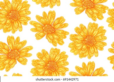 Seamless botanical pattern with calendula flowers. Vector floral illustration vintage