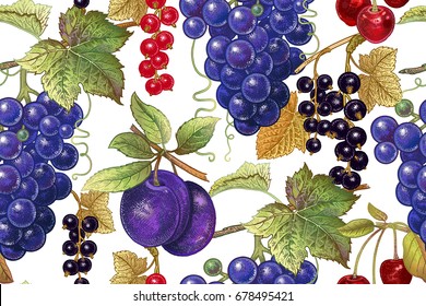 Seamless botanical pattern with grapes, plum, red and black currant, cherry on white background. Vintage. Victorian style. Vector illustration. For kitchen design, food packaging, paper, interior