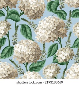 Seamless botanical pattern with  hydrangeas. Vector.