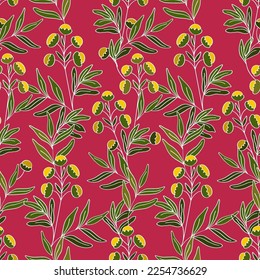 Seamless botanical pattern of medicinal flowers tansy. Botanical elements on the background of Viva magenta.
