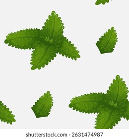 Motif botanique harmonieux de feuilles de menthe et de canard, parfait pour l'emballage du thé, les textiles ou les arrière-plans de produits biologiques.
