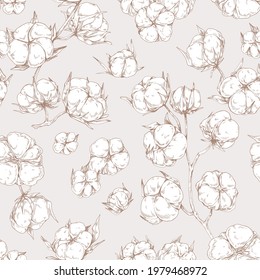 Seamless botanical pattern with outlined soft fluffy cotton flower branches. Design of endless repeatable natural background in vintage style. Detailed hand-drawn vector illustration for printing.