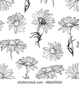Seamless botanical pattern with rudbeckia and chamomile. Herbal background. Hand drawn flower illustration. Floral vector. Botany. Seamless pattern with hand drawn plants. 