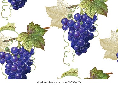 Seamless Botanical Pattern With Vine Grapes  On A White Background. Vintage. Victorian Style. Vector Illustration. Template For Kitchen Design, Food Packaging, Paper, Textiles, Dishes, Interior.