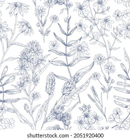 Seamless Botanical Pattern With Wild Flowers. Outlined Floral Background With Herbs. Endless Repeating Texture Design. Engraved Handdrawn Herbal Plant Print. Hand-drawn Detailed Vector Illustration