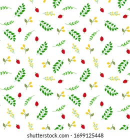 Seamless botanical vector pattern with hand drawn doodle berries red rose hips yellow buckthorn green twigs with leaves flowers on white. Wallpaper tapestry fabric print