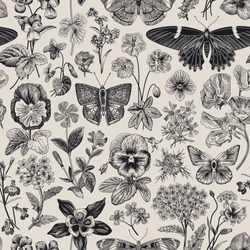 Seamless Botanical Vintage Pattern. Vector Illustration. Meadow And Garden Butterflies And Flowers. Black And White
