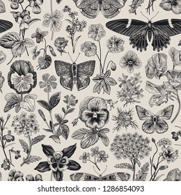 Seamless botanical vintage pattern. Vector illustration. Meadow and garden butterflies and flowers. Black and white