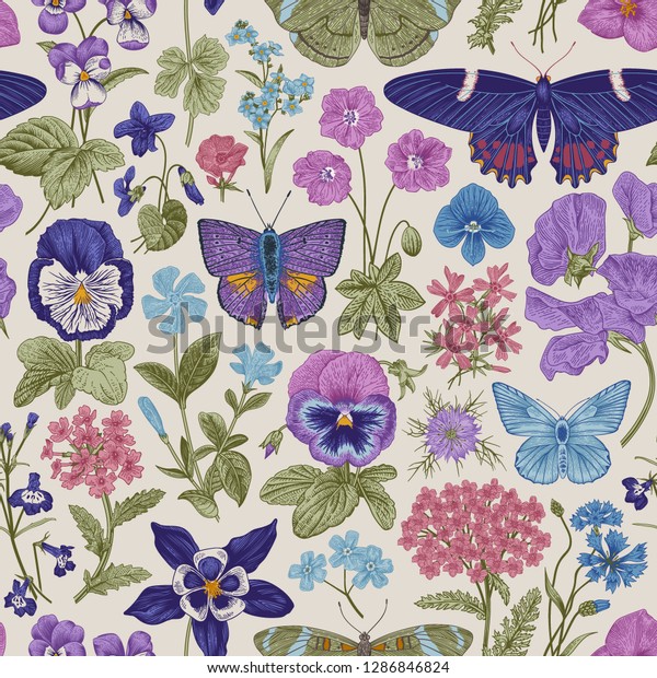 88 Butterfly On Vinca Images, Stock Photos & Vectors Shutterstock