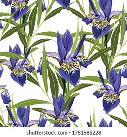 Seamless botanical watercolor style pattern with iris flowers, leaves and green herbs. 