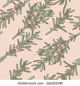 Seamless branches of rosemary background