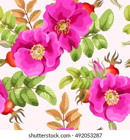 Seamless brier rose