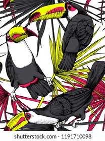 Seamless bright pattern. Tropical leaves. Colored Exotic fan palm and Toucan birds. Textile composition, hand drawn style print. Vector illustration.