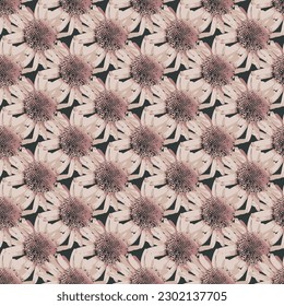 Patrón de flores marrones sin foco con flores de crisantemo, elementos de diseño. patrón de girasol marrón granulado utilizado textil, tela, papel pintado de pared de la flor de alcachofas de Jerusalén con fondo oscuro.