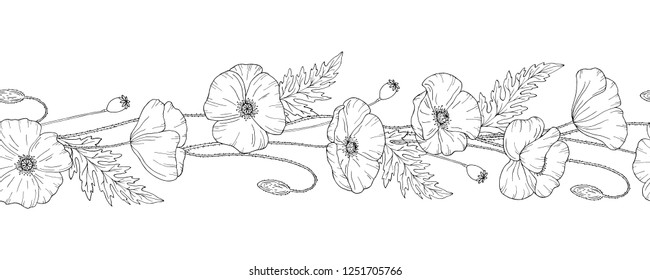 Seamless brush. Seamless border. Poppy flowers. Papáver. Stems and leaves. Hand drawn vector illustration. Monochrome black and white ink sketch. Line art.