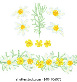 Seamless brush of daisies and floral elements. Floral summer elements with cute bouquets of daisies and wildflowers. Floral elements for your greeting cards, design, wedding announcements.