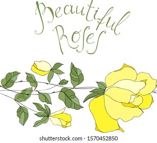 seamless brush yellow roses. isolated on white background. lettering on a white background