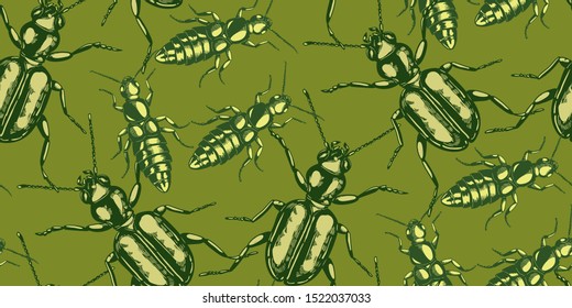 seamless bug beetles pattern nature earth colors 