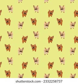 Seamless Cairn Terrier pattern, holiday texture. Baby Packaging, yellow wrapping paper. Trendy hand-drawn funny breed wallpaper. Fun seamless happy cute sitting top view dog square repeat pattern. 